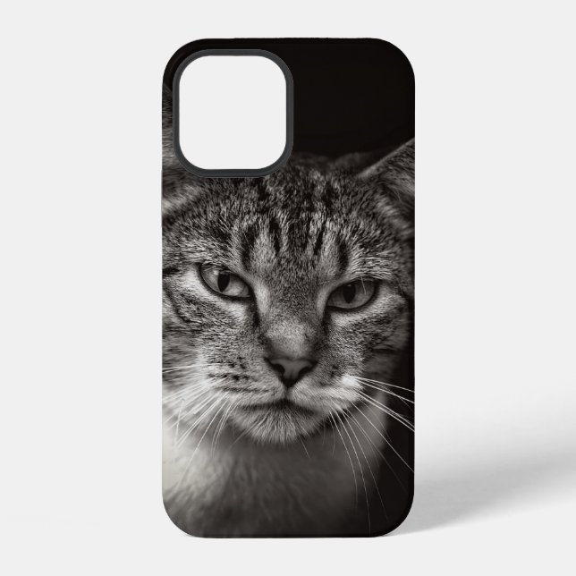 FUNDA PARA iPhone GATO ATIGRADO PLATEADO (Reverso )