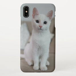 Funda Para iPhone XS Max Gato blanco | Zazzle_Growshop.