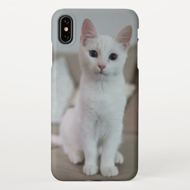 Funda Para iPhone Gato blanco | Zazzle_Growshop. (Reverso)
