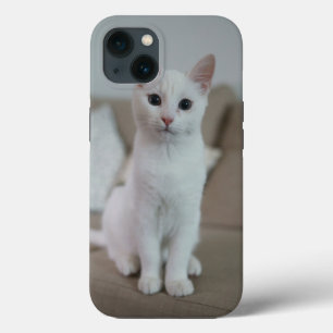 Gato blanco Zazzle_Growshop.