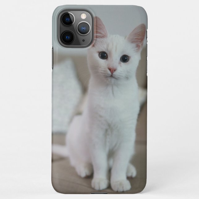 Funda Para iPhone Gato blanco | Zazzle_Growshop. (Reverso)