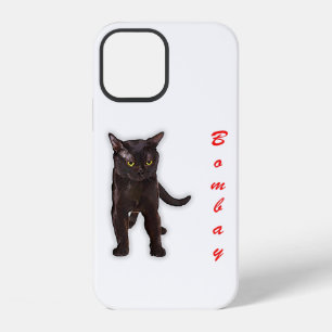 Funda Para iPhone 12 Gato Bombay Divertido Japón Regalo Para Papá Mamá 
