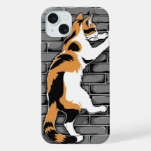 Gato en la pared