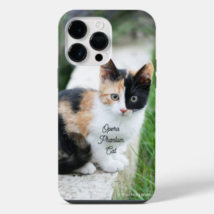 Funda Para iPhone 14 Pro Max Gato Fantasma de la Ópera