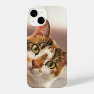 Funda Para iPhone 14 Gato gracioso Kitten Mascota Animal