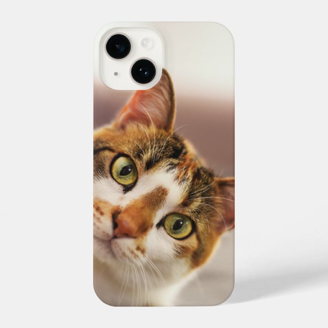 Funda Para iPhone Gato gracioso Kitten Mascota Animal (Reverso )
