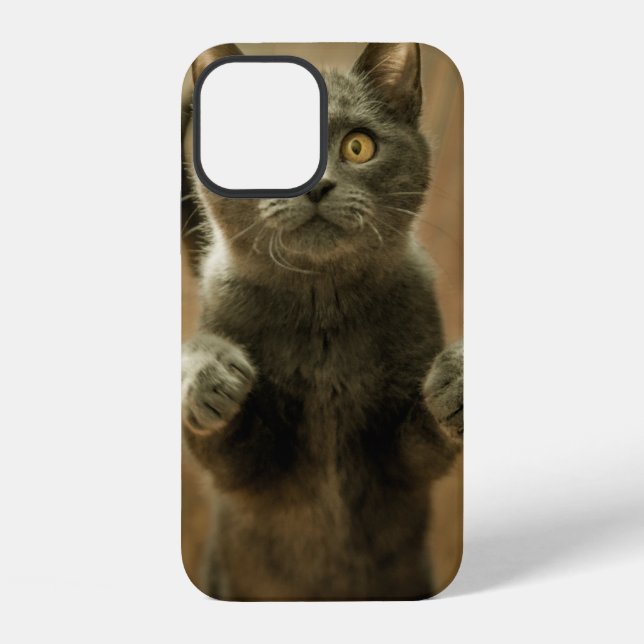 FUNDA PARA iPhone GATO GRIS EN DOS PIES (Reverso )