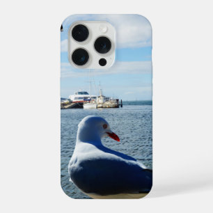 Gaviota, Barcos Y El Océano,  