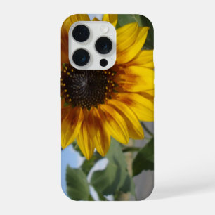 Girasol Momento Dorado,