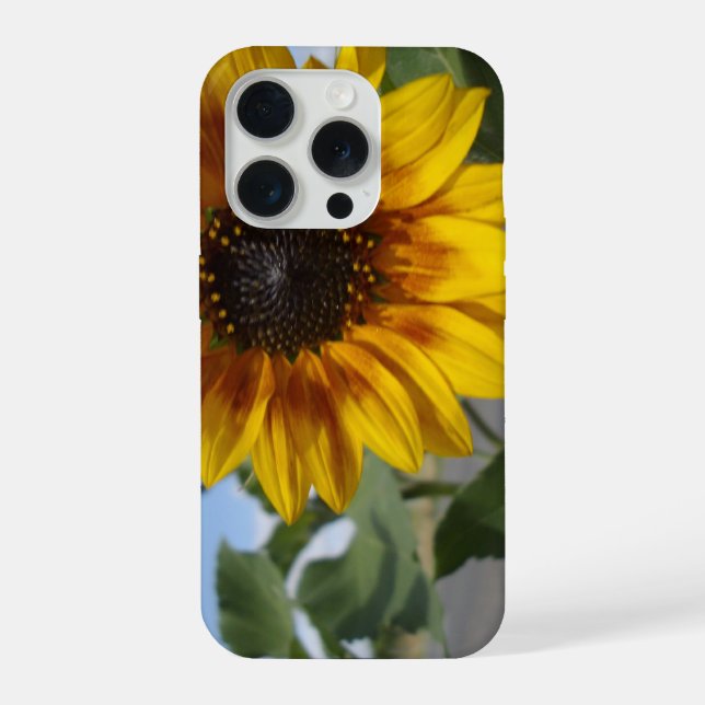 Funda Para iPhone Girasol Momento Dorado, (Reverso )