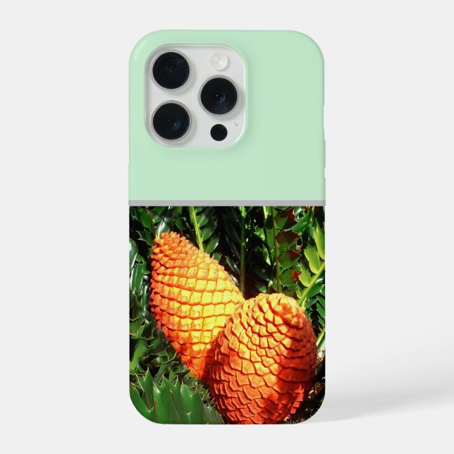 Funda Para iPhone Grandes vainas de semillas de cono africano naranj (Reverso )