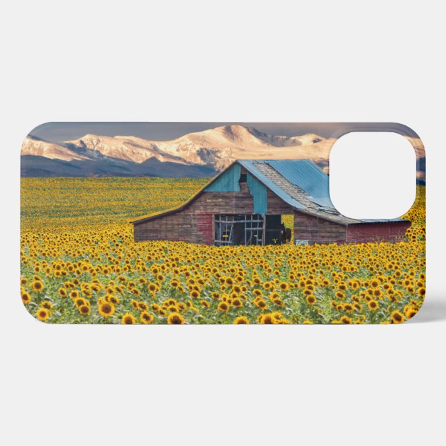 Funda Para iPhone Granjas | Campo de girasol (Reverso Horizontal)