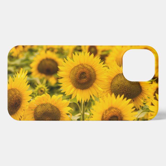 Funda Para iPhone Granjas | Un Campo De Girasol (Reverso Horizontal)