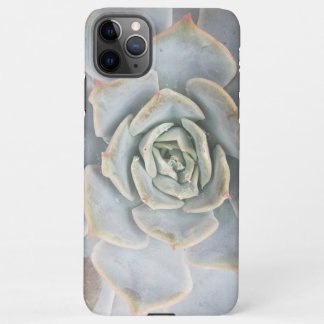 Funda Para iPhone 11Pro Max Graptoveria Huths Pink Electronics Bag