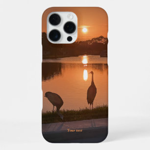 Funda Para iPhone 16 Pro Max Grullas silueta al atardecer