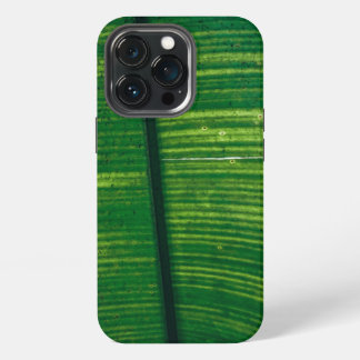 Funda Para iPhone 13 Pro Grünes Blatt mit Details aus Costa Rica