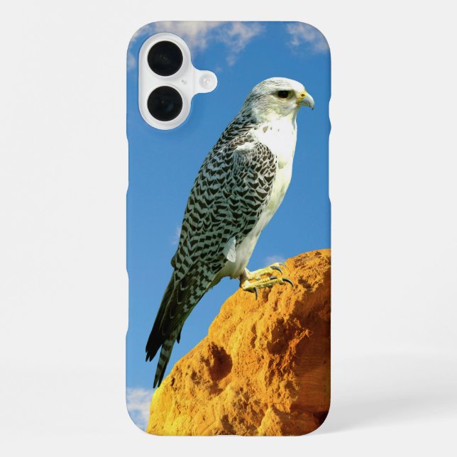 Funda Para iPhone Gyrfalcon colgado en una caja de teléfonos de rock (Reverso )