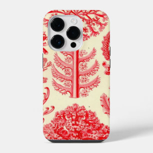Funda Para iPhone 14 Pro Haeckel Antiguo