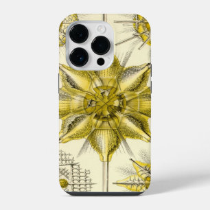 Funda Para iPhone 14 Pro Haeckel Antiguo