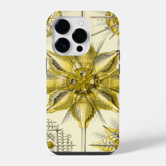 Funda Para iPhone Haeckel Antiguo (Reverso )