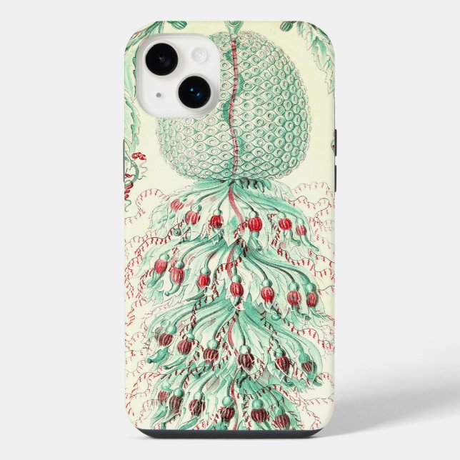 Funda Para iPhone Haeckel Vintage (Reverso)