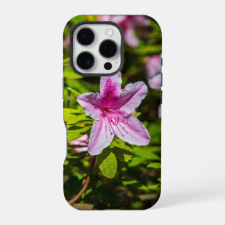 Funda Para iPhone 16 Pro hermosas flores azalea rosadas en los jardines de 