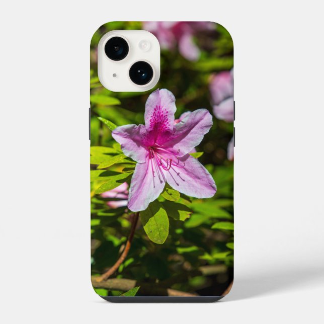 Funda Para iPhone hermosas flores azalea rosadas en los jardines de  (Reverso )