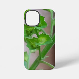 Funda Para iPhone 12 Mini Hermoso aniversario de boda de cumpleaños