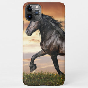 Funda Para iPhone 11Pro Max Hermoso caballo negro