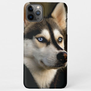 Funda Para iPhone 11Pro Max Hermoso Cojín decorativo Husky