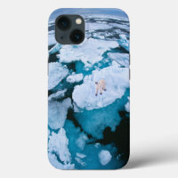 Hielo y nieve | Oso Polar, Océano Ártico, Svalbard