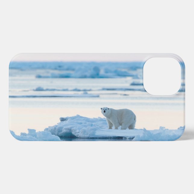 Funda Para iPhone Hielo y nieve | Polar Bear Iceberg Noruega (Reverso Horizontal)