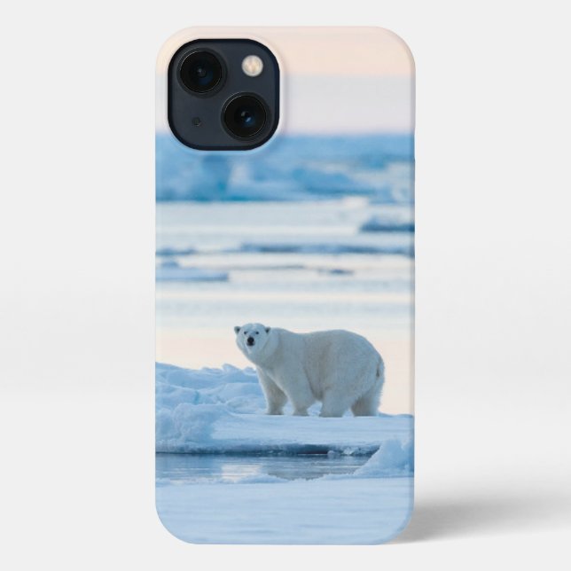 Funda Para iPhone Hielo y nieve | Polar Bear Iceberg Noruega (Reverso )
