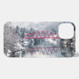 Hielo y nieve   Puente rojo en invierno, Japón