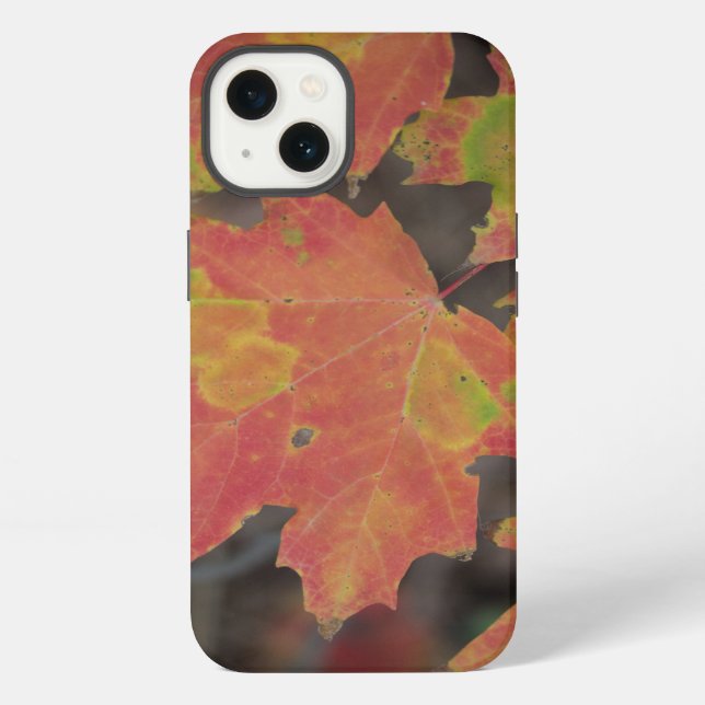 Funda Para iPhone Hojas de Otoño (Reverso )