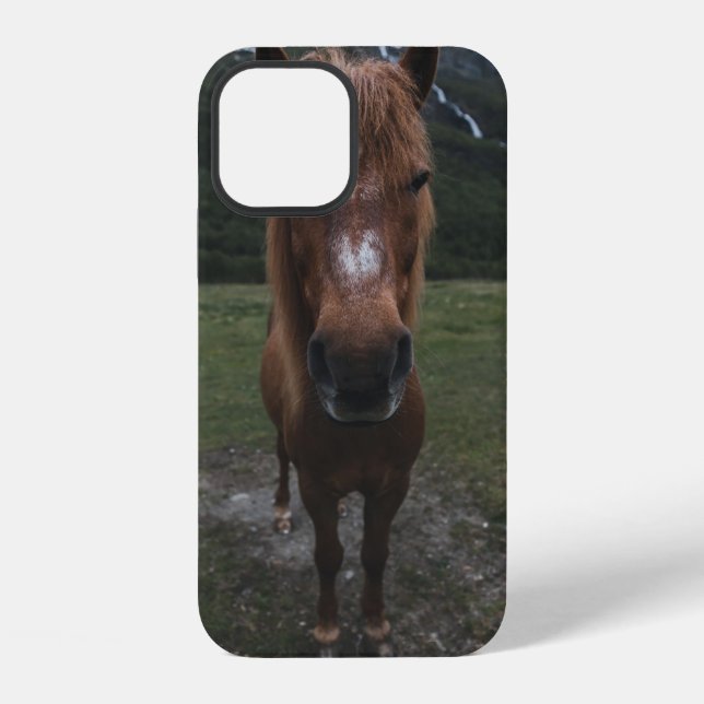 FUNDA PARA iPhone HOLA SOY UN CABALLO (Reverso )