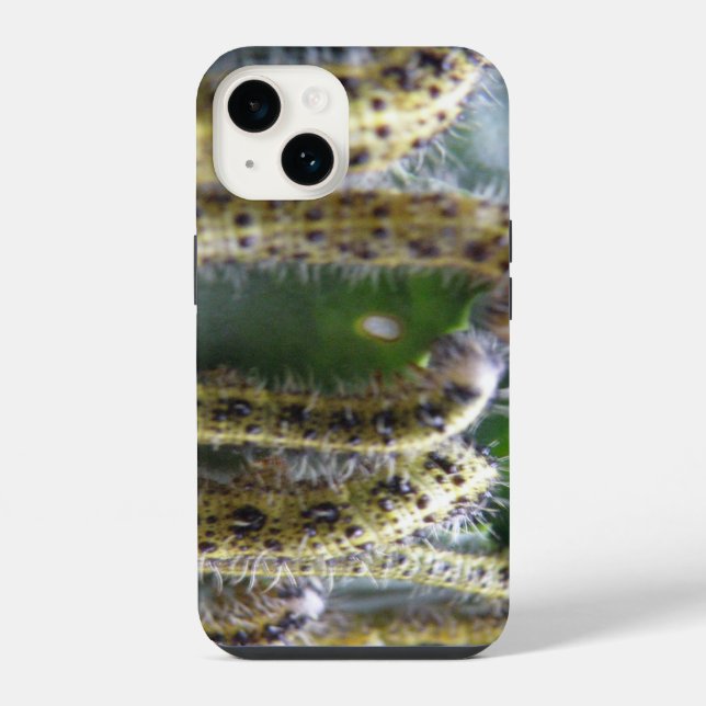 Funda Para iPhone Hunbage Cabbage White Caterpillar (Reverso )