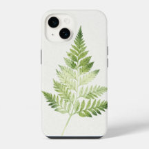 Ilustracion botánico del Fern Verde minimalista