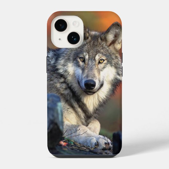 Funda Para iPhone Imagen fotográfica de lobo (Reverso )