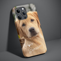 Imagen moderna de mi mejor amigo perro con huella