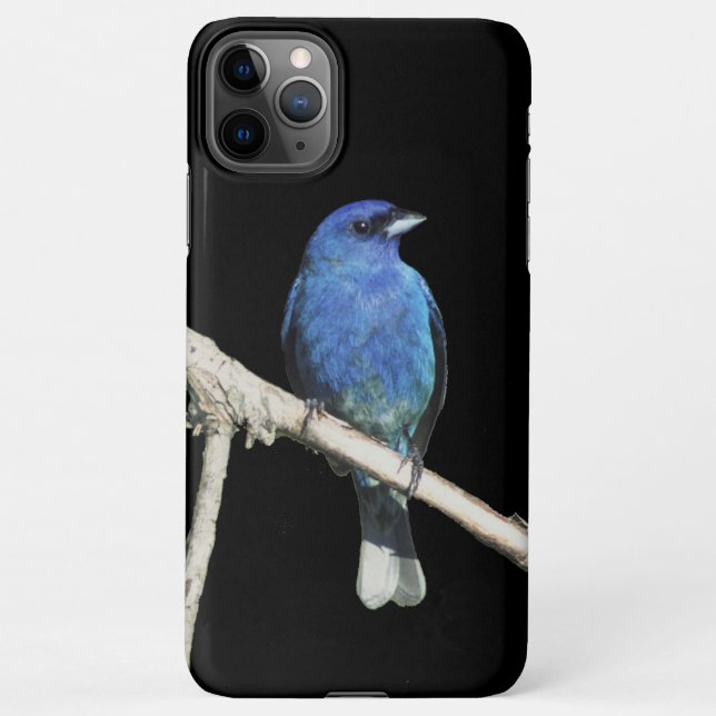 Funda Para iPhone Indigo Bunting (Reverso)