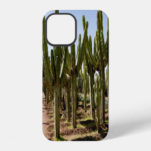 Funda Para iPhone 12 Jardín Cacti, paisaje tropical del desierto.