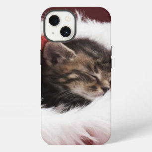 Kitten asleep in Christmas hat