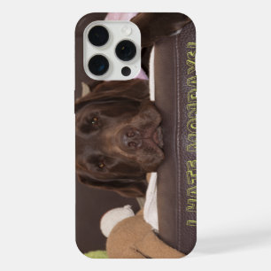 Labrador Chocolate Soñoliento Con Juguetes