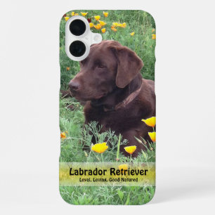 Funda Para iPhone 16 Plus Labrador de Chocolate en Parche de Amapola de Cali