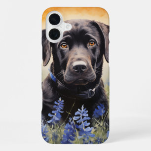 Funda Para iPhone 16 Plus Labrador negro en Bluebonnets