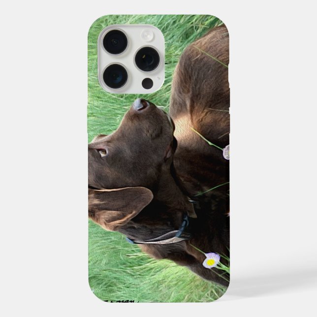 Funda Para iPhone Labrador Retriever y flores púrpuras (Reverso )