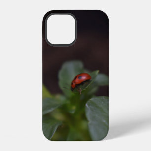 Funda Para iPhone 12 Ladybug en Flores