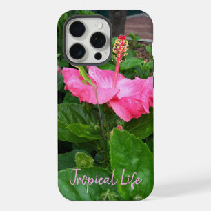 Lagarto camuflado en flor de Hibisco Tropical Rosa