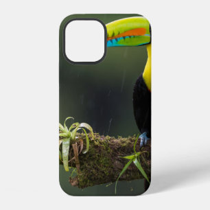 Funda Para iPhone 12 las aves son los únicos animales con plumas 2